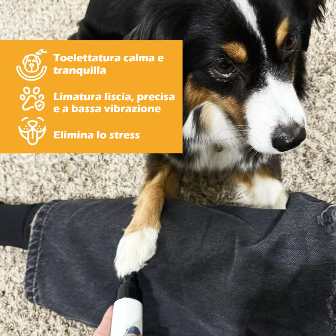 Smerigliatrice Unghie No Stress
